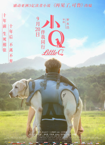 一级片视频播放